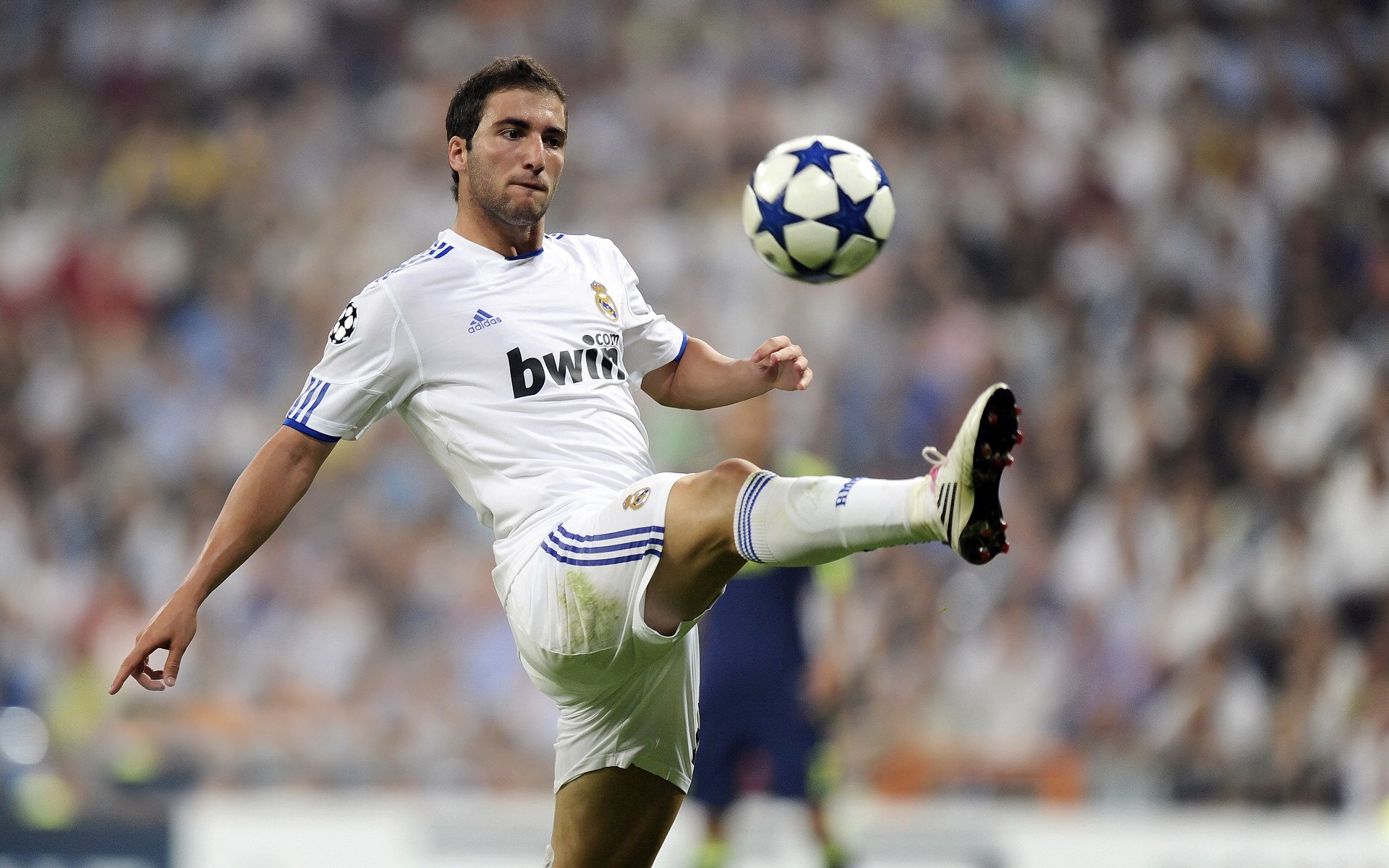 中国跳水队包揽世锦赛四金 小将全红婵再现水花消失术